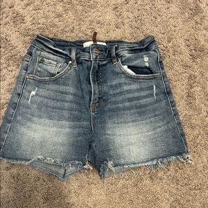 American Eagle Outfitters Distressed Blue Jean Shorts